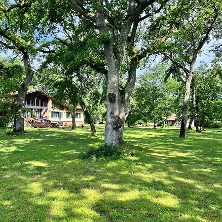Les Du Petit Mila Tatil Evi *